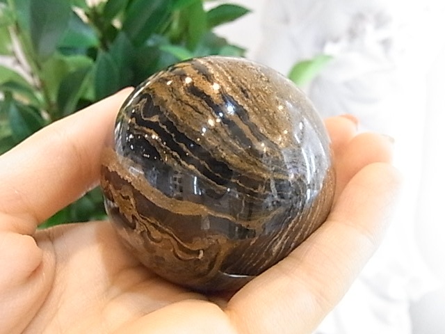 BU00177�����ȥ��ޥȥ饤�ȡ��ڥ롼��