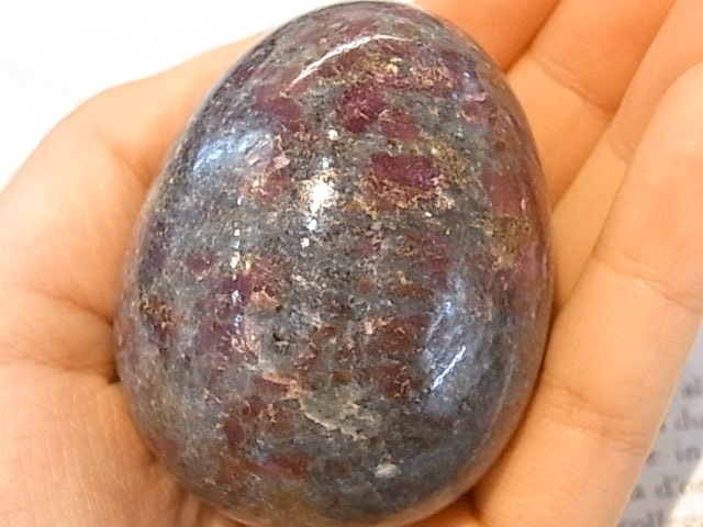 EK00027F Тӡ󥫥ʥȡå(ɻ)