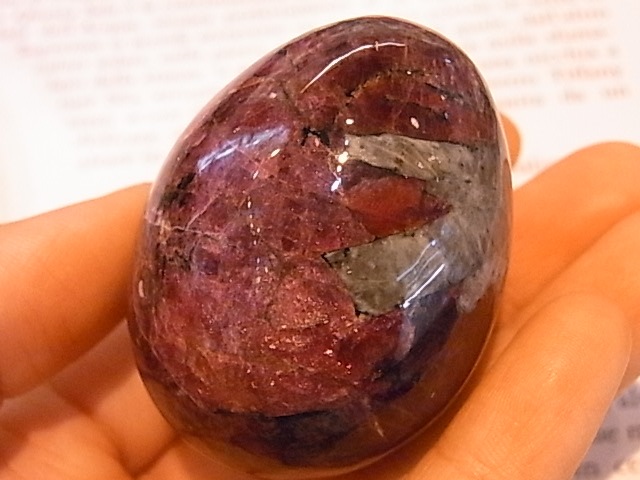 EK00029F ������Т�桼�ǥ����饤�ȡ����å���(��������)