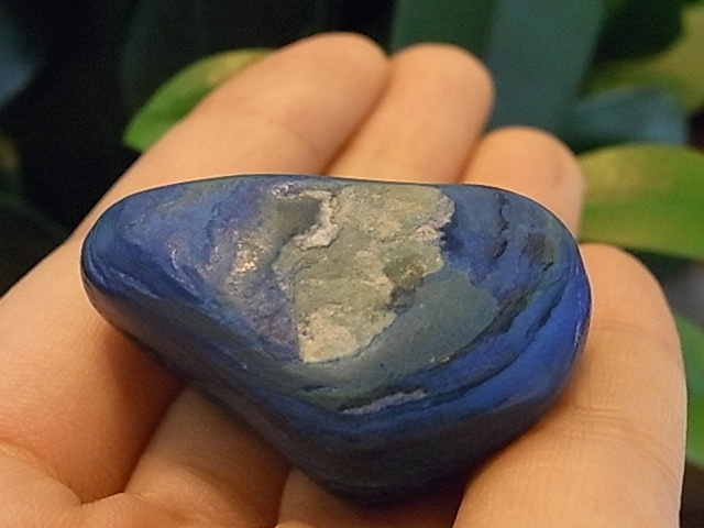 PK00331F �����饤�� �ڥ����ȥإå�(�ʥߥӥ���)