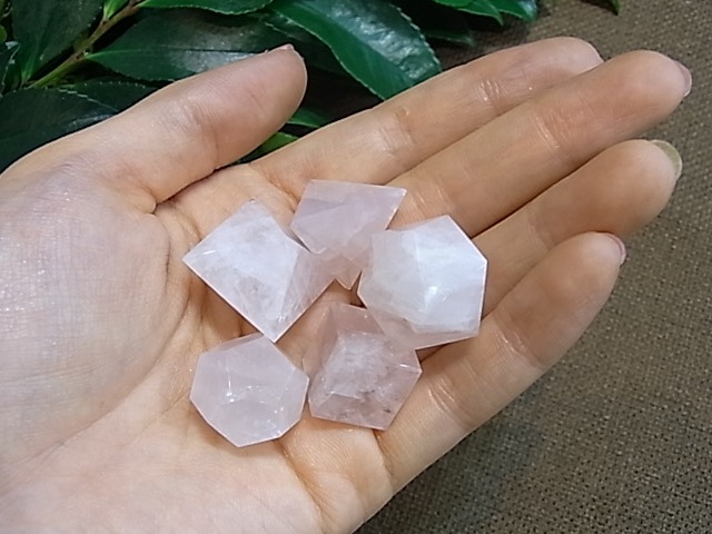 UE00094K �ץ�ȥ�Ω�Ρ�5�ĥ��å�