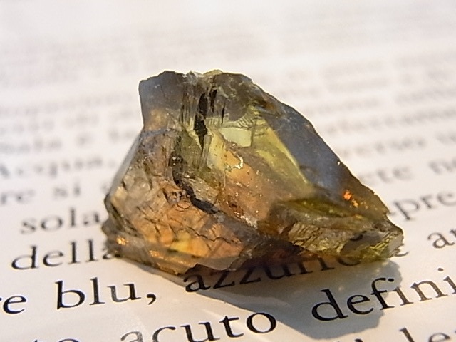 K00269F ե饤ȡСڴС(֥륬ꥢ)