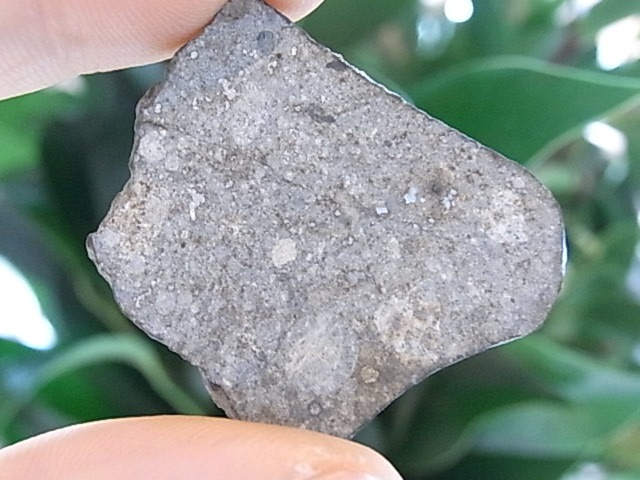 BU00203F����ƥ��饤�ȡ�NWA869