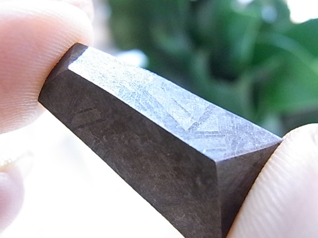 BU00205Fƥ饤 Gibeon