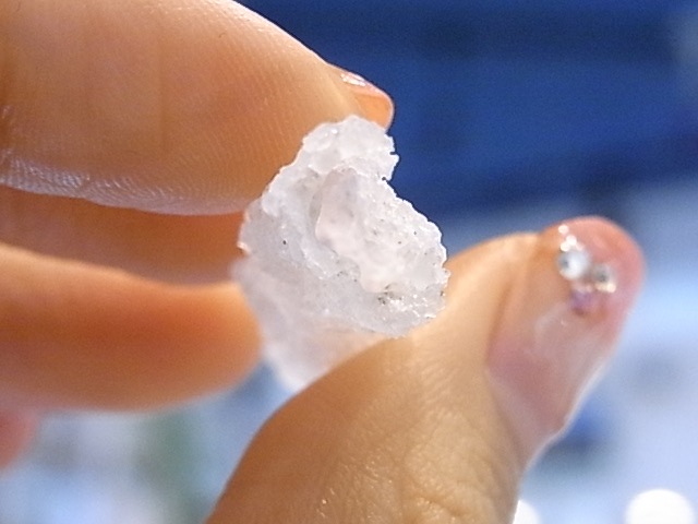 BU00207F �ե륰�饤��