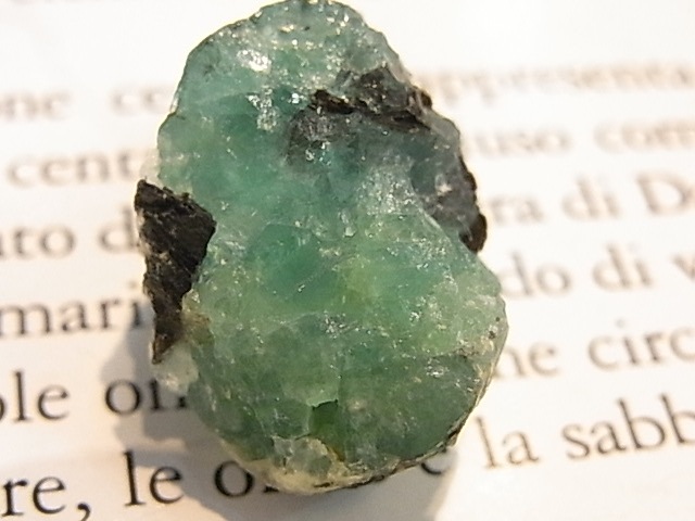 GK00289F ɸ (󥶥˥)