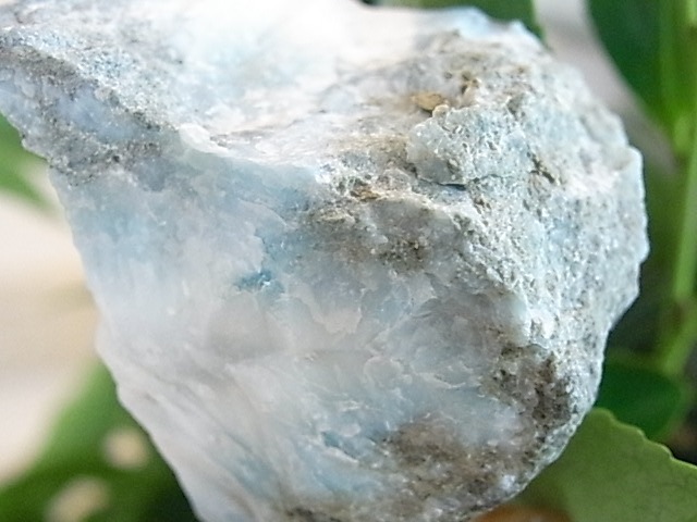 BU00218F�����ޡ�������