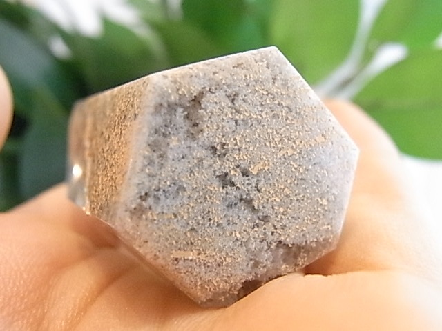 BU00260F �ۥ磻�ȥ����ǥ󥯥�����
