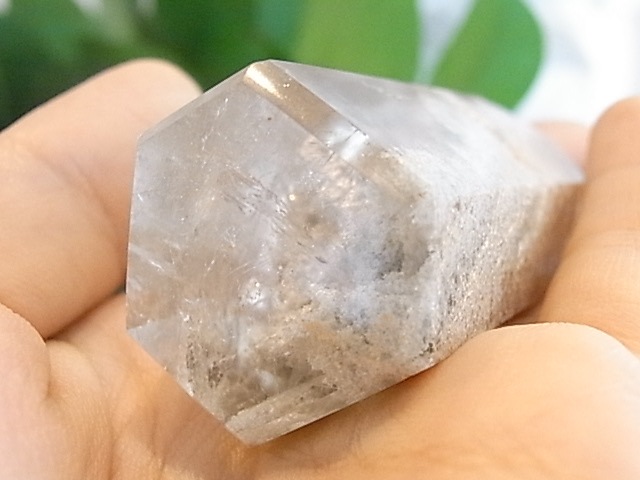 BU00261F �ۥ磻�ȥ����ǥ󥯥�����