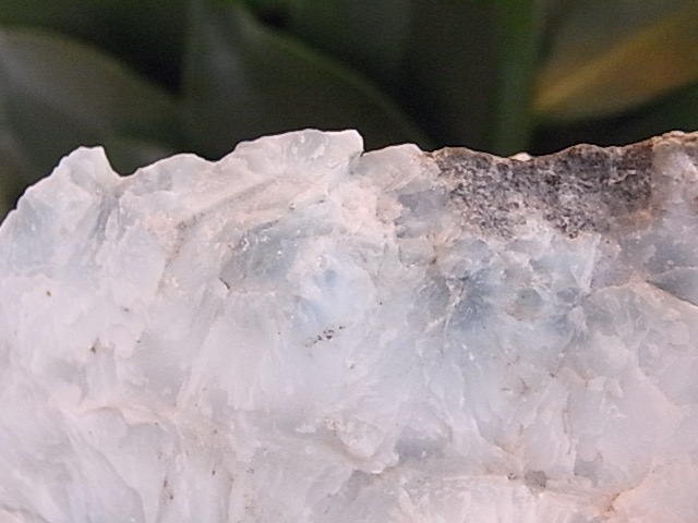 BU00286F ���ޡ�����