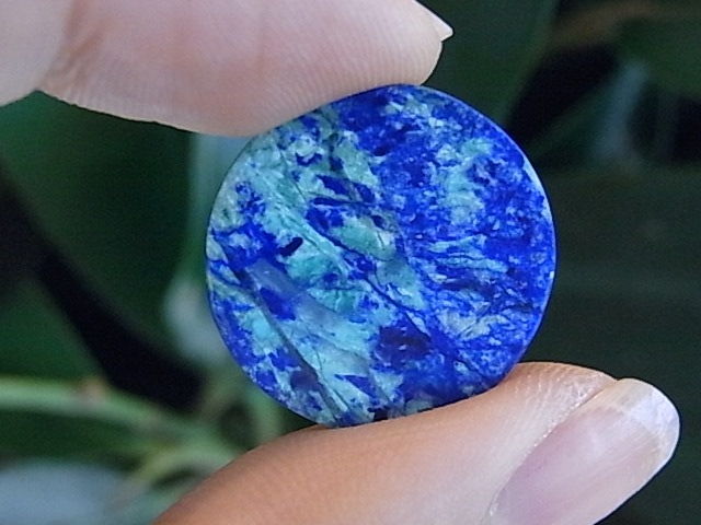 BU00334F �֥롼�С��ɡ������饤��