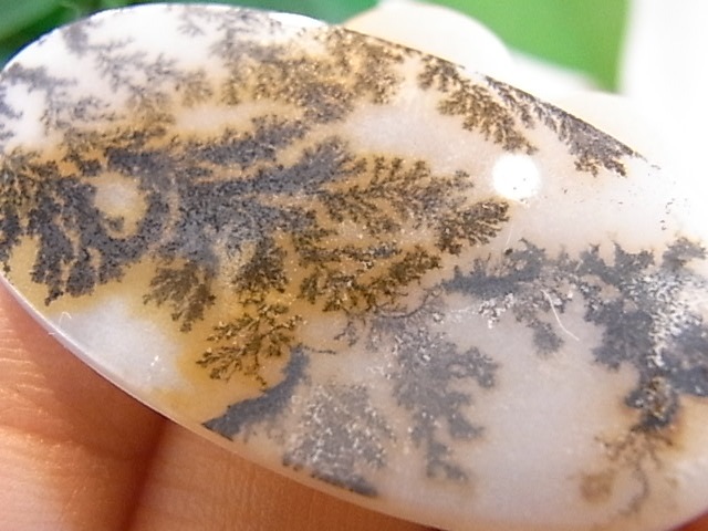 BU00417F �ǥ�ɥ���å���������