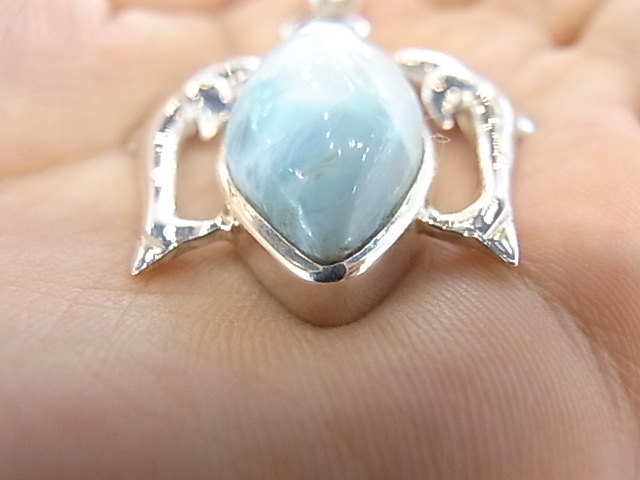 PA00012F Dolphins (Lei) ���ޡ����������ޥ�󡡥ڥ����ȥȥå�