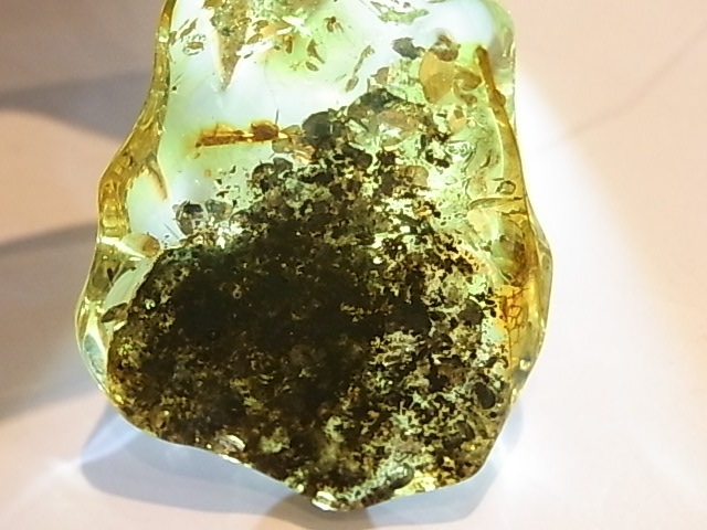 PA00049F ���ʼ�����С�(����)�ڥ����ȥȥå�
