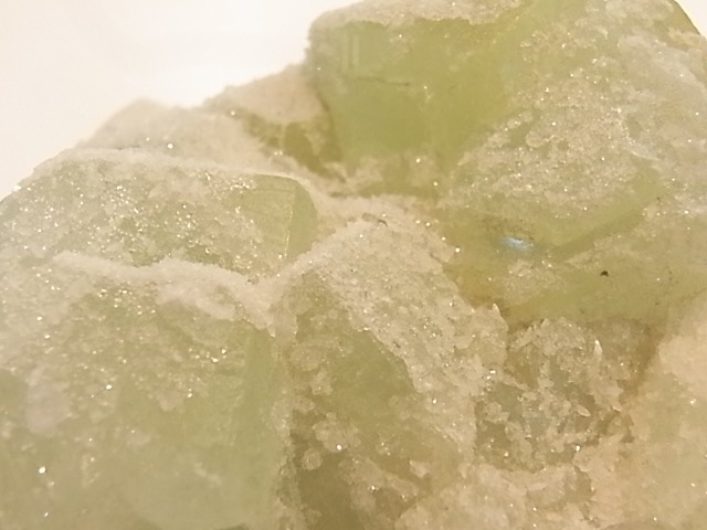 GA00053F���ɥ��롼�����ե����饤�� ����