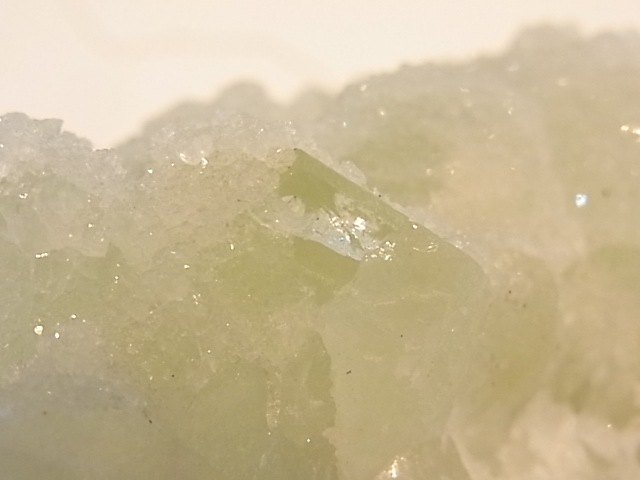 GA00054F���ɥ��롼�����ե����饤�� ����