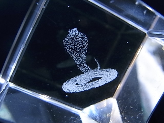 CA00012K���徽���졼����Ħ��ʼءˡ����塼��