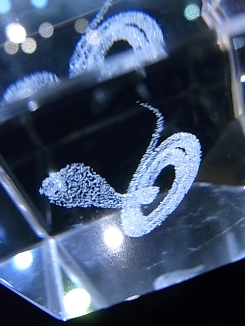 CA00012K���徽���졼����Ħ��ʼءˡ����塼��