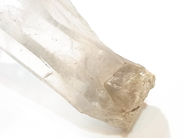GA00014K�����ꥢ�徽�ե���ȥࡡ�ݥ����