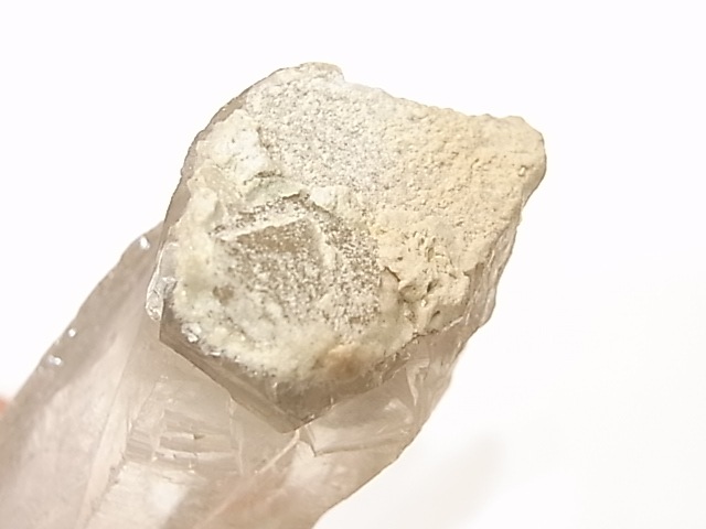 GA00014K�����ꥢ�徽�ե���ȥࡡ�ݥ����