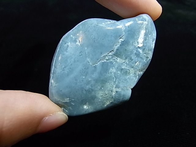 CA00056Kե󥻥֥롼ɡꥫ֥