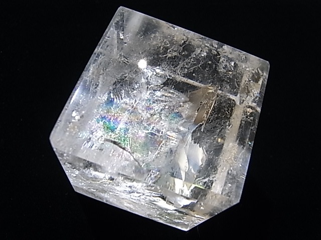 CA00014K���徽�ʥ쥤��ܡ�����ˡ����塼��