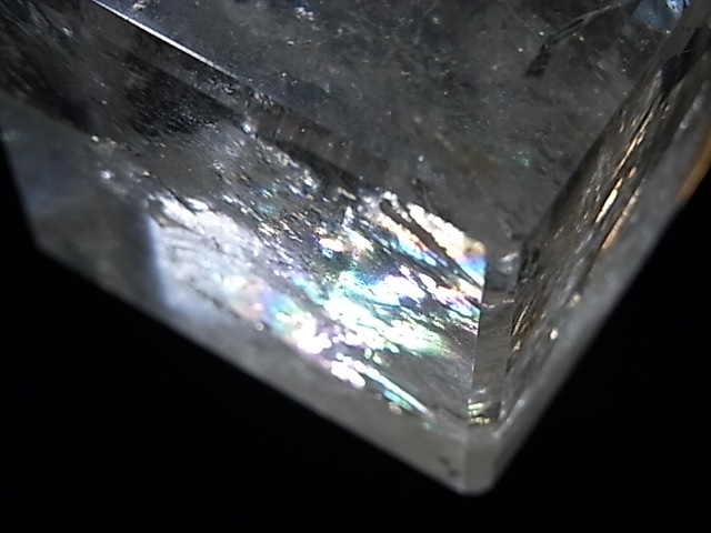 CA00014K���徽�ʥ쥤��ܡ�����ˡ����塼��