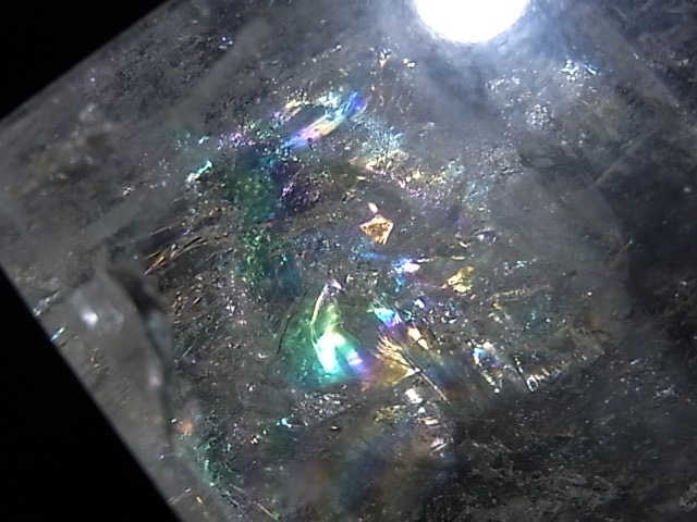 CA00014K���徽�ʥ쥤��ܡ�����ˡ����塼��