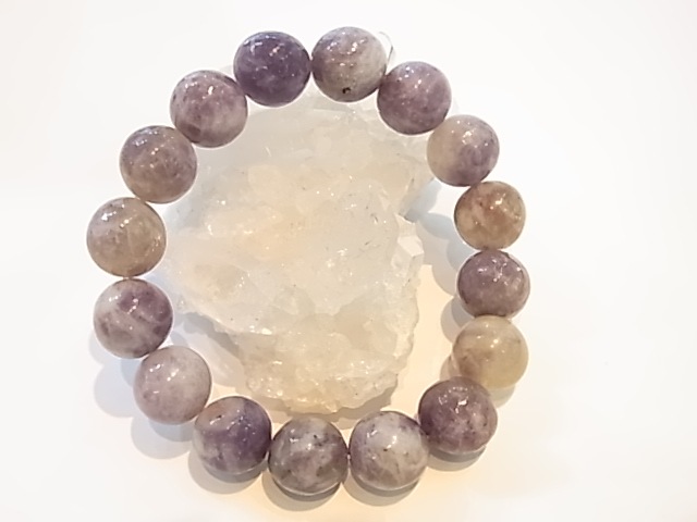 BAJ0004F����ԥɥ饤�ȥȥ�ޥ��12�����̥֥쥹��å�