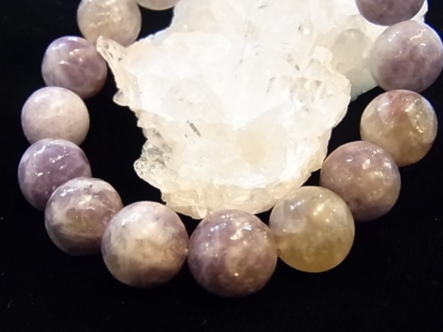 BAJ0004F����ԥɥ饤�ȥȥ�ޥ��12�����̥֥쥹��å�