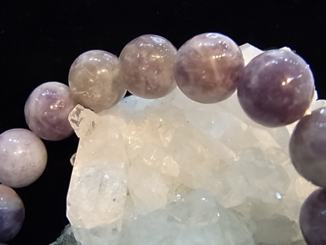 BAJ0004F����ԥɥ饤�ȥȥ�ޥ��12�����̥֥쥹��å�