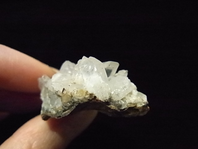 GKM0021N ���ץ������᥸���ȡ�����