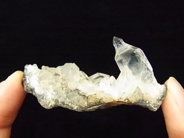 GKM0021N ���ץ������᥸���ȡ�����