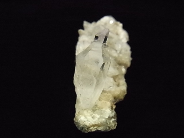 GKM0021N ���ץ������᥸���ȡ�����