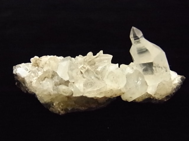 GKM0021N ���ץ������᥸���ȡ�����