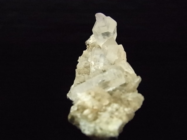 GKM0021N ���ץ������᥸���ȡ�����