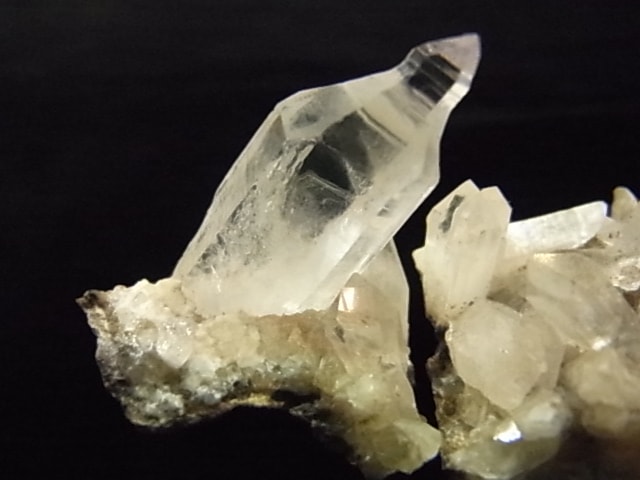 GKM0021N ���ץ������᥸���ȡ�����