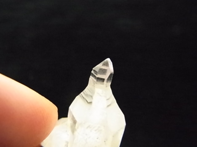 GKM0021N ���ץ������᥸���ȡ�����