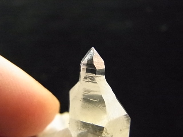 GKM0021N ���ץ������᥸���ȡ�����