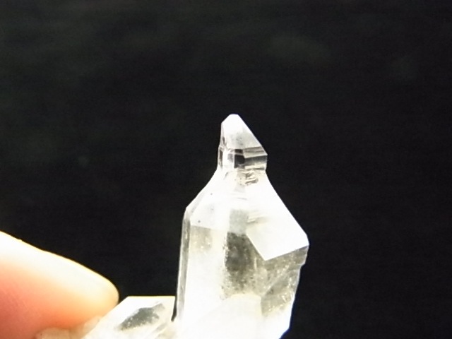 GKM0021N ���ץ������᥸���ȡ�����