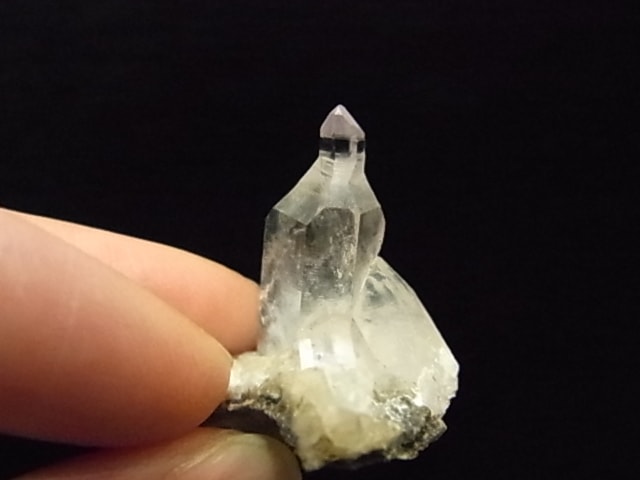 GKM0021N ���ץ������᥸���ȡ�����