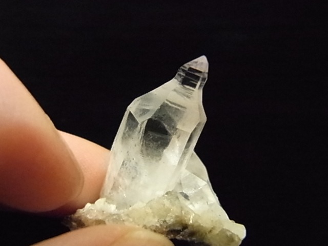 GKM0021N ���ץ������᥸���ȡ�����