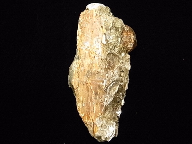 AR0002Fʥȡڥ륿ȥͥåȡС󥶥˥