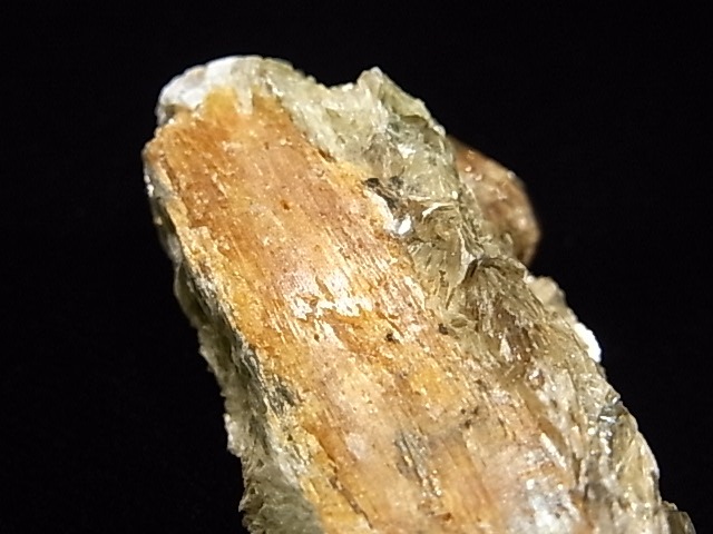 AR0002Fʥȡڥ륿ȥͥåȡС󥶥˥