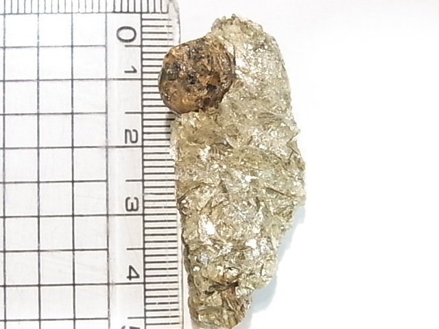 AR0002Fʥȡڥ륿ȥͥåȡС󥶥˥