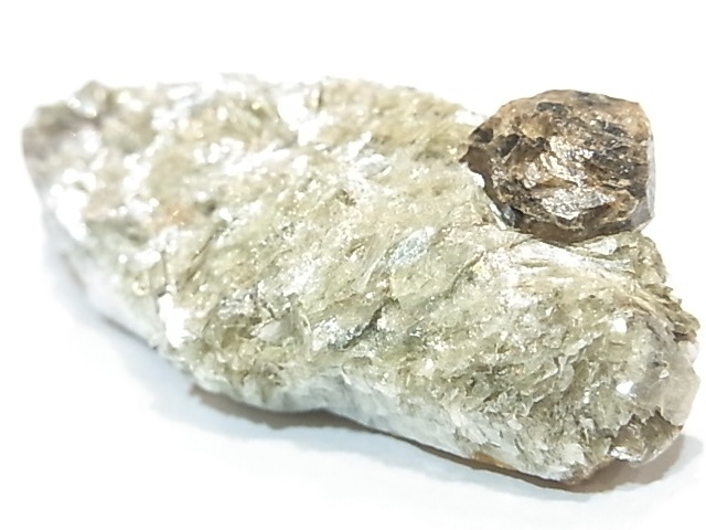 AR0002Fʥȡڥ륿ȥͥåȡС󥶥˥