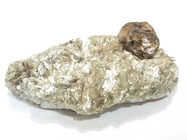 AR0002Fʥȡڥ륿ȥͥåȡС󥶥˥