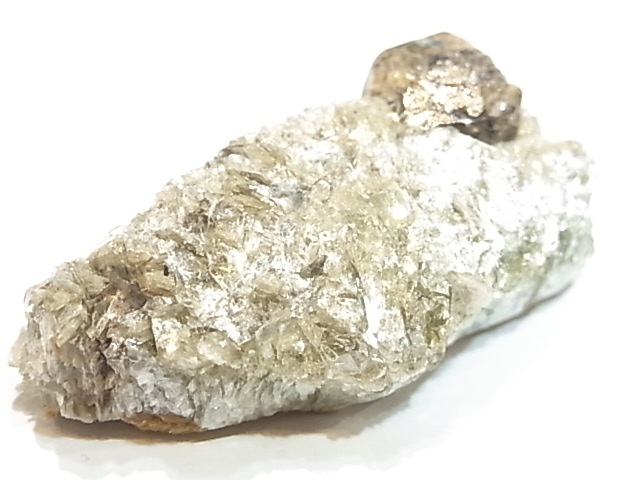 AR0002Fʥȡڥ륿ȥͥåȡС󥶥˥