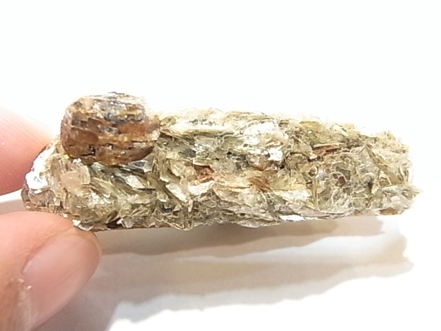 AR0002Fʥȡڥ륿ȥͥåȡС󥶥˥