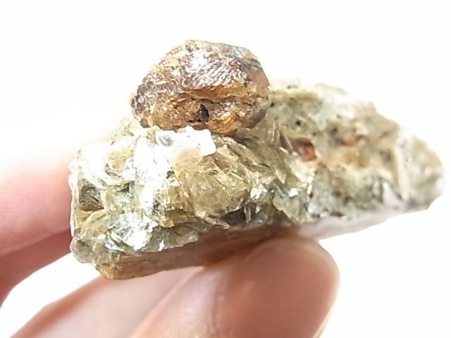 AR0002Fʥȡڥ륿ȥͥåȡС󥶥˥